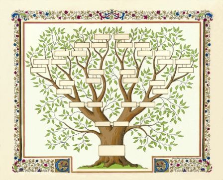 arbre_genealogique.jpg