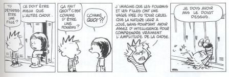 calvin_hobbes.jpg