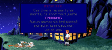 caniches.jpg
