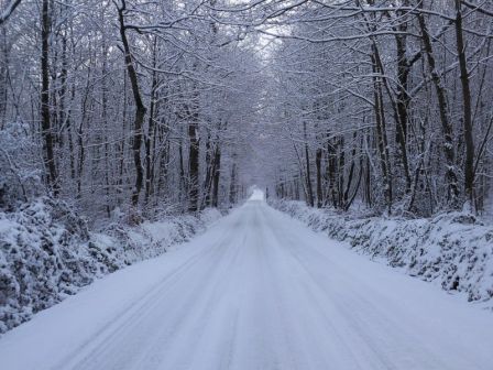 neige1.jpg