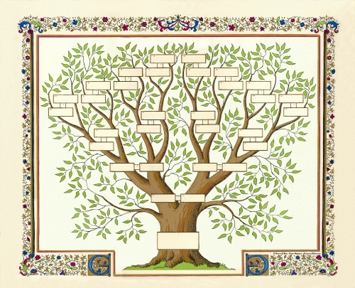 arbre_genealogique.jpg