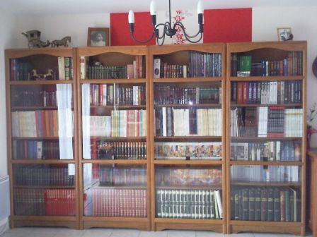 biblio2010.jpg