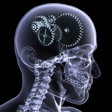 brain.jpg