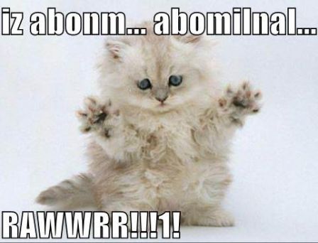 abominal-snow-kitten.jpg