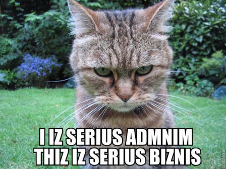 admin_lolcat.jpg