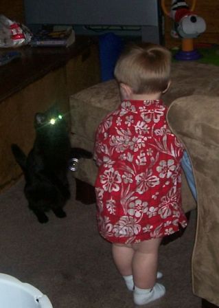 cat_controle.jpg