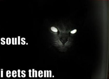 cat_eats_souls.jpg