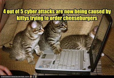 cat_hackers.jpg