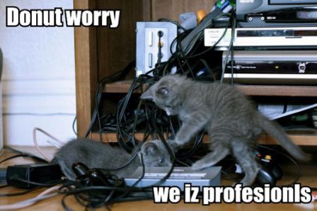 cat_profesionals.jpg