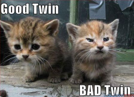catbadtwin.jpg