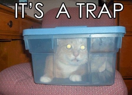 itsatrap.jpg
