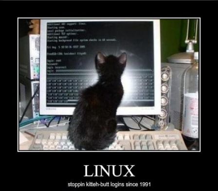 linux_cat.jpg