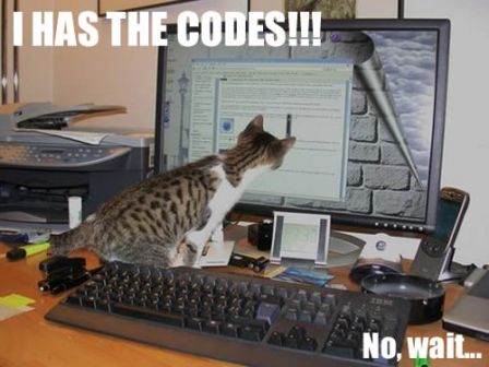 lolcat_bureau.jpg