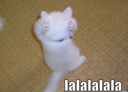 lolcats-lalalalala.jpg