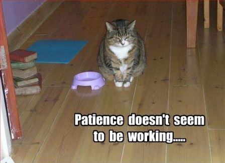 patience.jpg