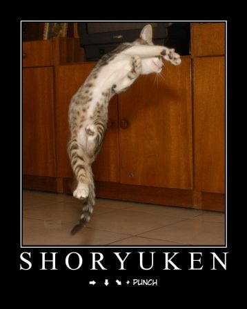 shoryukencat.jpg