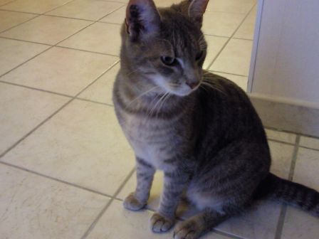 loki20091.jpg