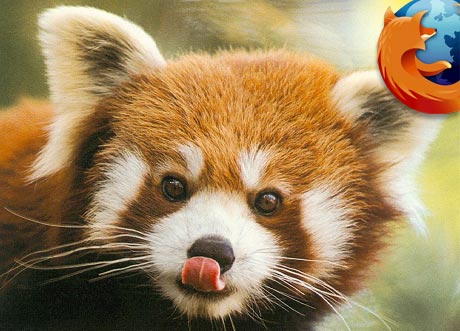 redpanda.jpg